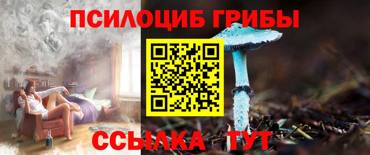 Псилоцибиновые грибы ЛСД Солнечногорск